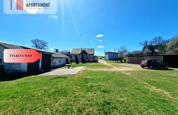 Siedlisko w Borach Tucholskich! Las!