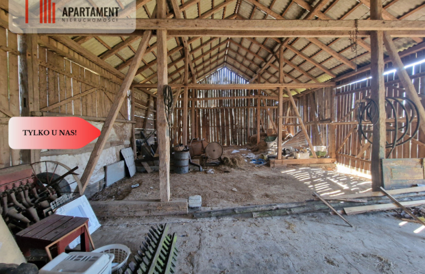 Siedlisko w Borach Tucholskich! Las!