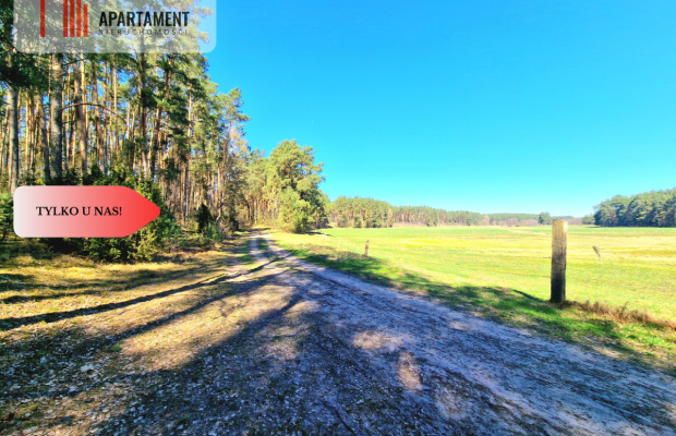 Siedlisko w Borach Tucholskich! Las!