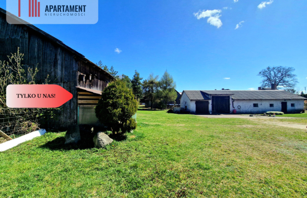 Siedlisko w Borach Tucholskich! Las!