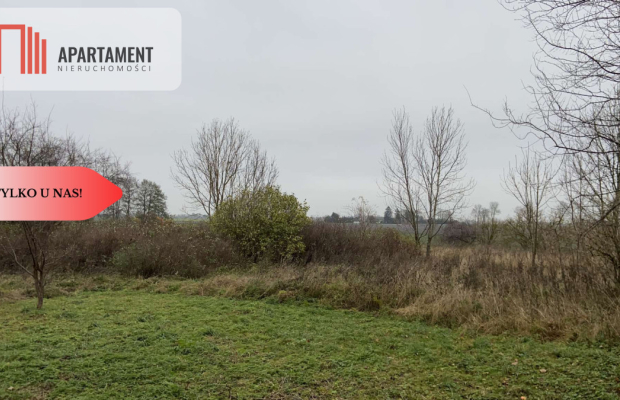 Duża działka z domem do odbudowy bądź rozbiórki