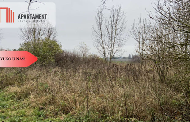 Duża działka z domem do odbudowy bądź rozbiórki