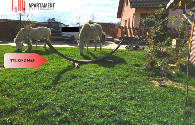 Przestronny dom na dużej działce z basenem...