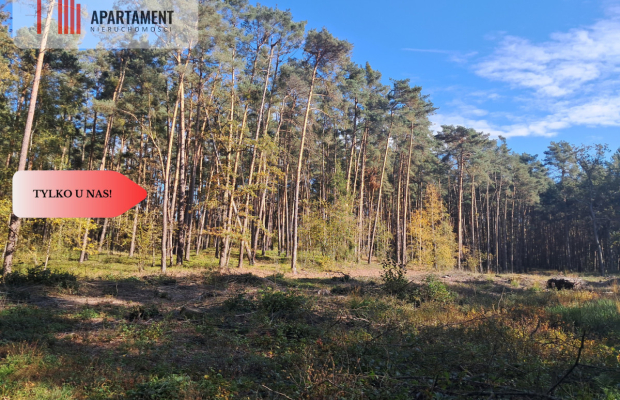 Dom na wsi do remontu z 5,5 ha ziemi.