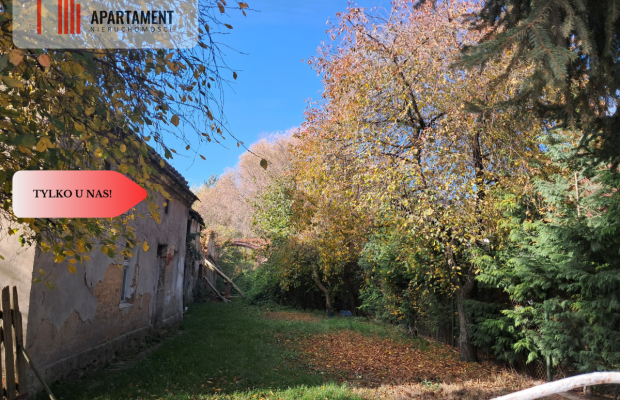 Dom na wsi do remontu z 5,5 ha ziemi.