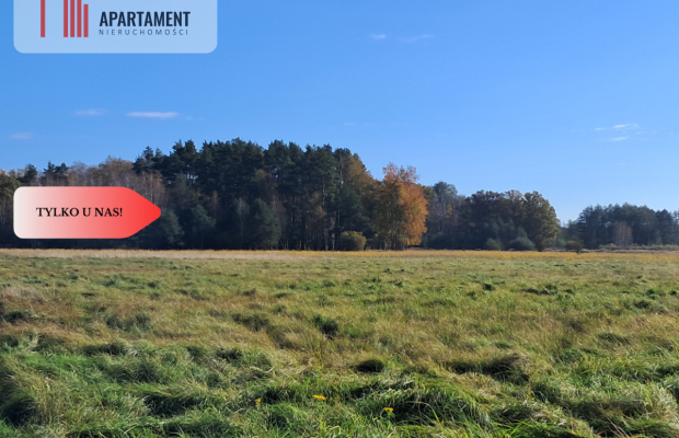 Dom na wsi do remontu z 5,5 ha ziemi.