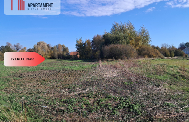 Dom na wsi do remontu z 5,5 ha ziemi.