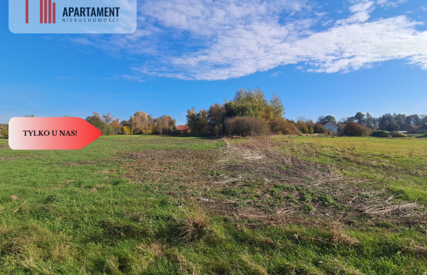 Dom na wsi do remontu z 5,5 ha ziemi.