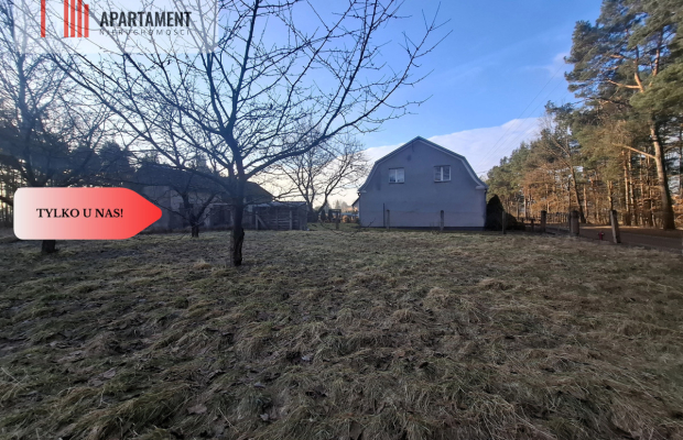 Dom z potencjałem przy lesach Borów Tucholskich