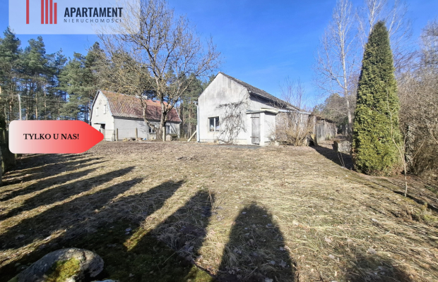 Dom z potencjałem przy lesach Borów Tucholskich