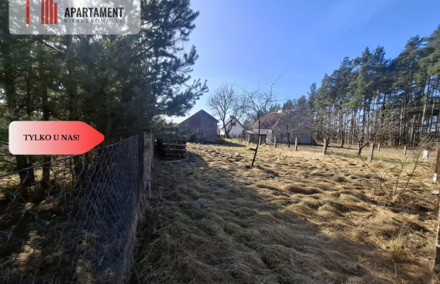 Dom z potencjałem przy lesach Borów Tucholskich