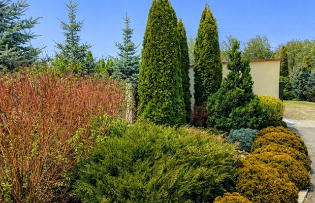 Kikół – bliźniak i garaż na dużej działce.