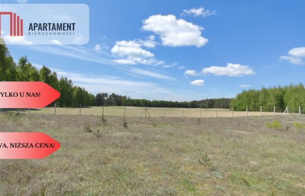 Dom z przepięknym widokiem na polanę w Lesie