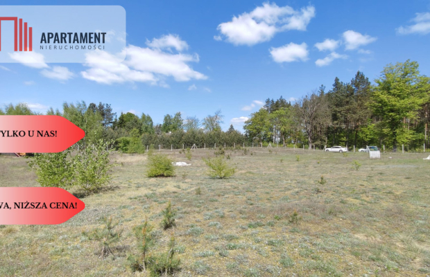 Dom z przepięknym widokiem na polanę w Lesie