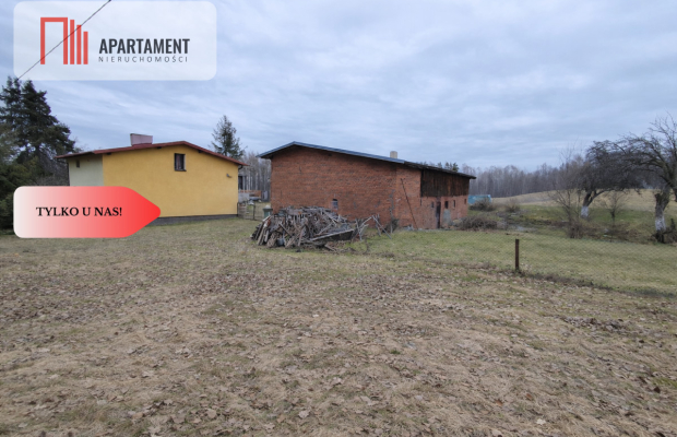 Tylko u Nas ! Dom z dużą działką i stawem.