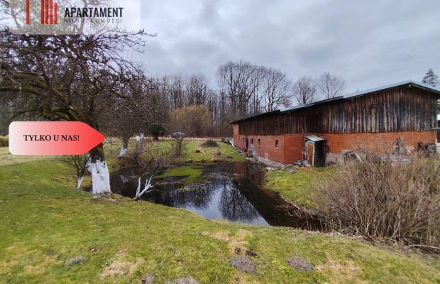 Tylko u Nas ! Dom z dużą działką i stawem.