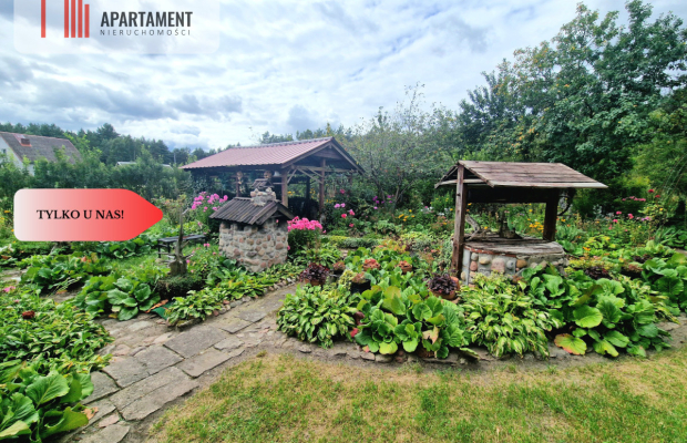 Siedlisko w Borach Tucholskich przy lesie! Staw!