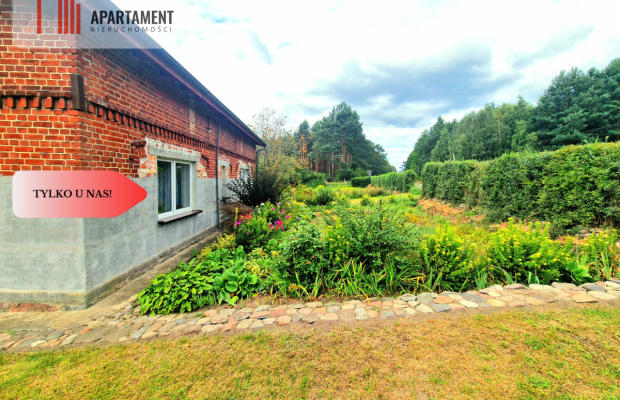 Siedlisko w Borach Tucholskich przy lesie! Staw!