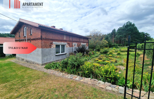 Siedlisko w Borach Tucholskich przy lesie! Staw!