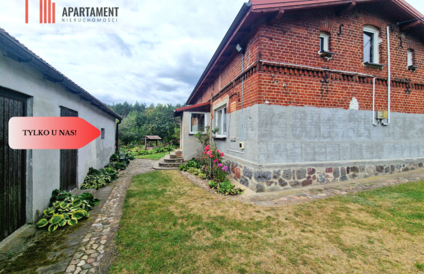 Siedlisko w Borach Tucholskich przy lesie! Staw!