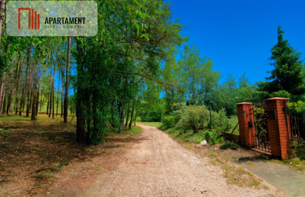 W otoczniu natury, z dala od zgiełku.