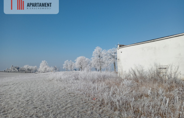 Ciekawa nieruchomość do adaptacji/ dom