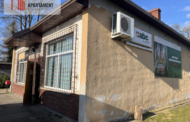 Dom wśród lasów+media+dobry stan 160 tys