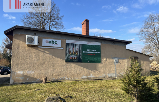 Dom wśród lasów+media+dobry stan 160 tys