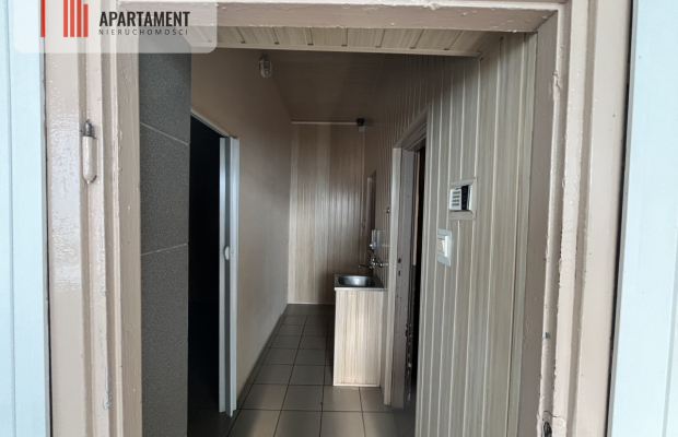 Dom wśród lasów+media+dobry stan 160 tys