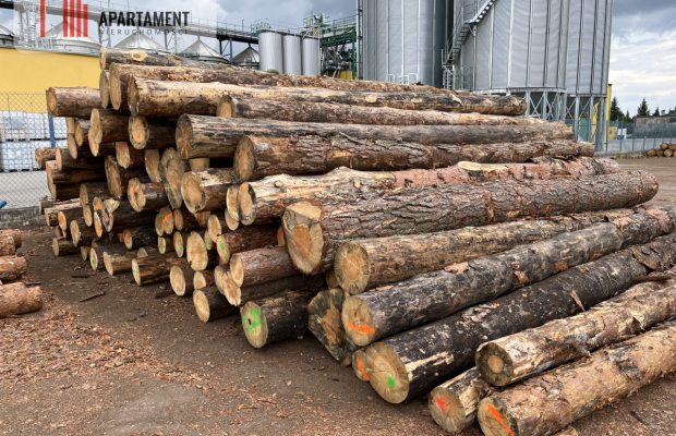 Super inwestycja - czynny Tartak z wyposażeniem !