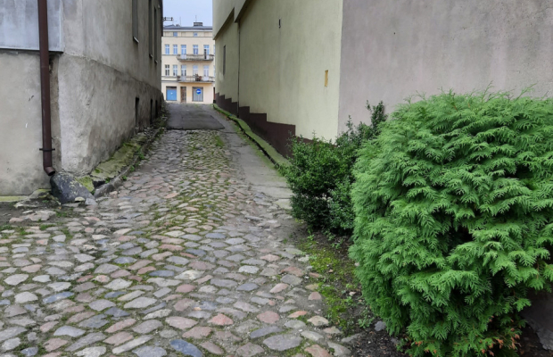 Mogilno – młyn z historią, 800m² pod działalność