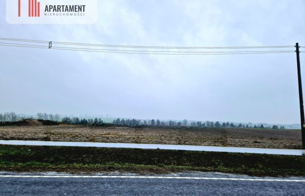 Nieruchomość z potencjałem!