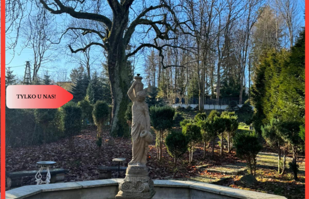 Pensjonat - Hotel, 23 pokoje. Kudowa Zdrój.