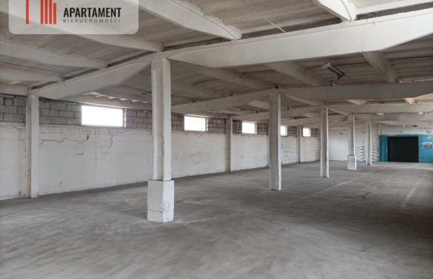 Hala na wynajem w Żninie