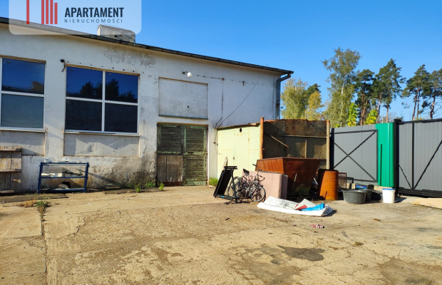 Hale do wynajęcia w super lokalizacji!