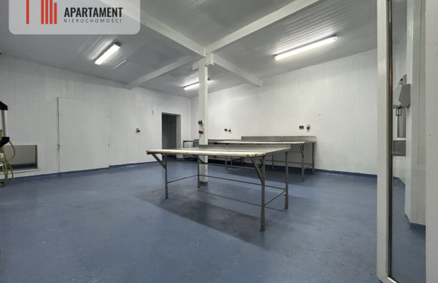 Hala pod produkcje/ Wynajem/ BRZOZA