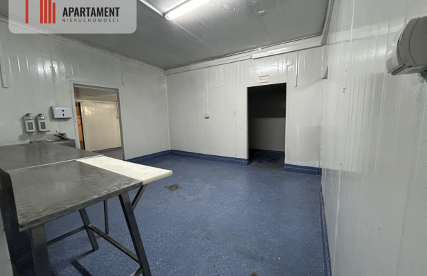 Hala pod produkcje/ Wynajem/ BRZOZA