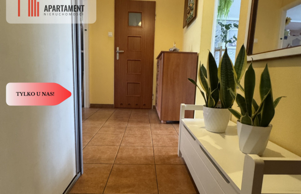 Przestronne mieszkanie 3 pokojowe