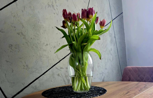 3 pokojowe mieszkanie gotowe do wprowadzenia