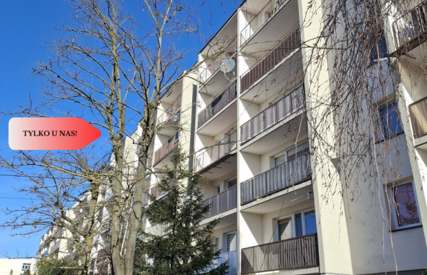 Mieszkanie - duży potencjał, świetna lokalizacja