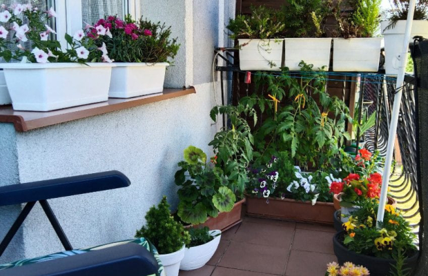 Mieszkanie bezczynszowe 2 pokoje 2 piętro centrum