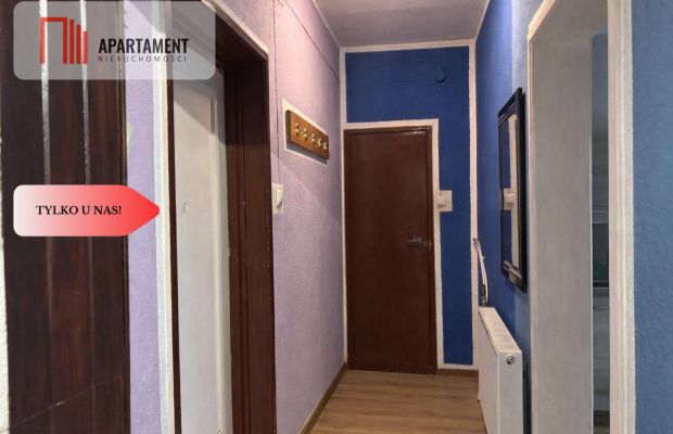 Kawalerka - Ryczywół