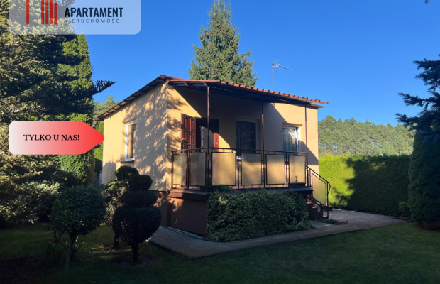 Ładna działka rekreacyjna w Drzewcach