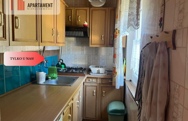 Ładna działka rekreacyjna w Drzewcach