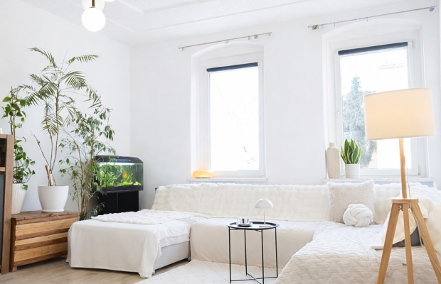 Mieszkanie|Kamienica|Ogródek|Perełka