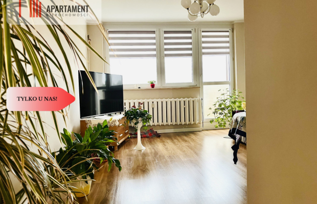 Tylko u nas! mieszkanie po remoncie z możliwościam