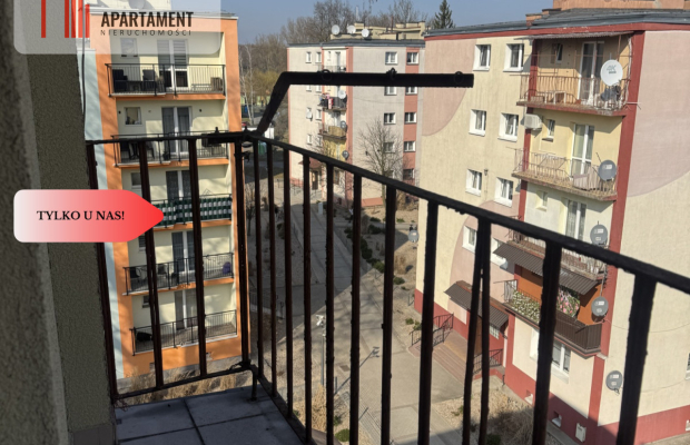 3 pokoje niski czynsz