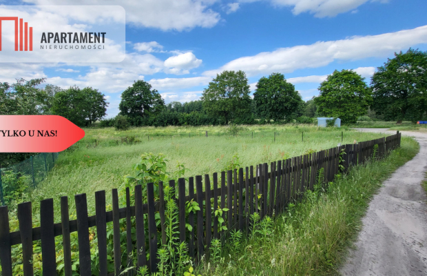 Józefinowo, duże mieszkanie bezczynszowe.