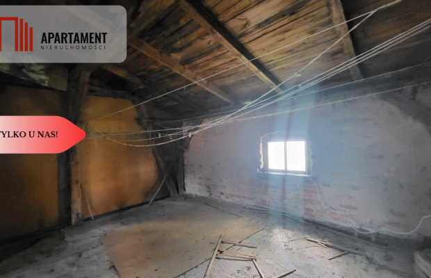 Józefinowo, duże mieszkanie bezczynszowe.