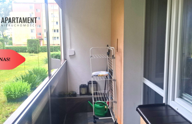 Tylko u Nas! 4 pokoje! Fordon!